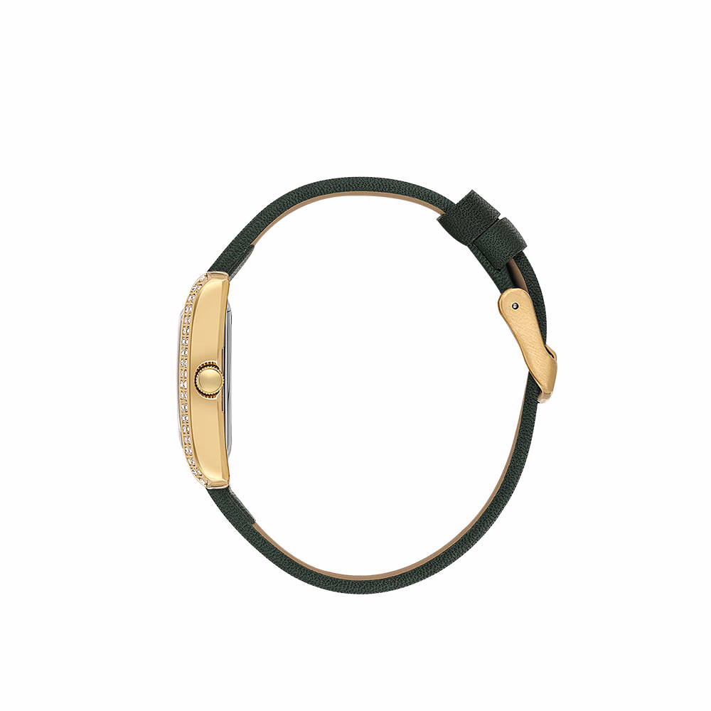 Daniel Klein Premium - Ceas Dama Quartz Verde DK.1.13896.2