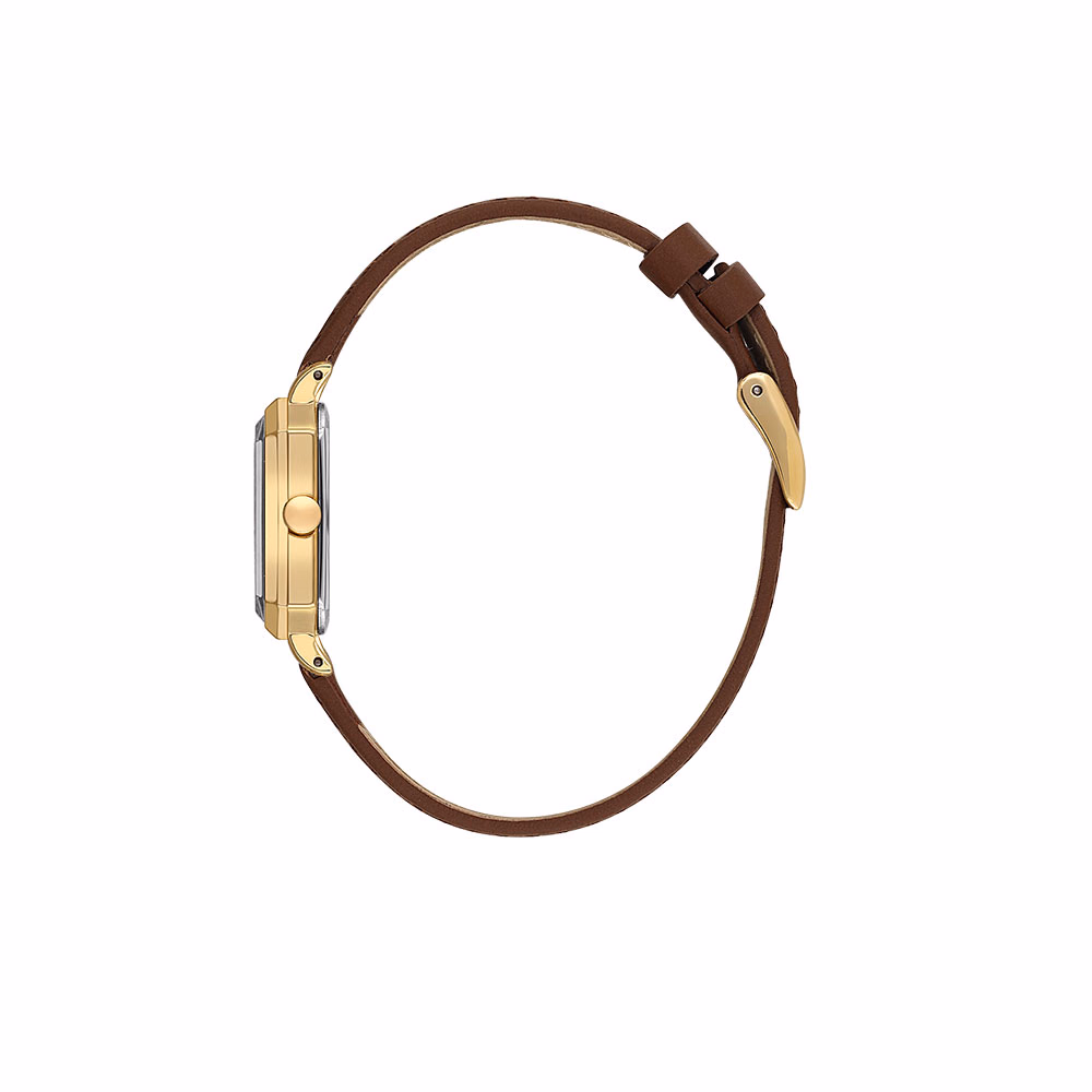 Daniel Klein Premium - Ceas Dama Quartz Cafeniu DK.1.13939.3