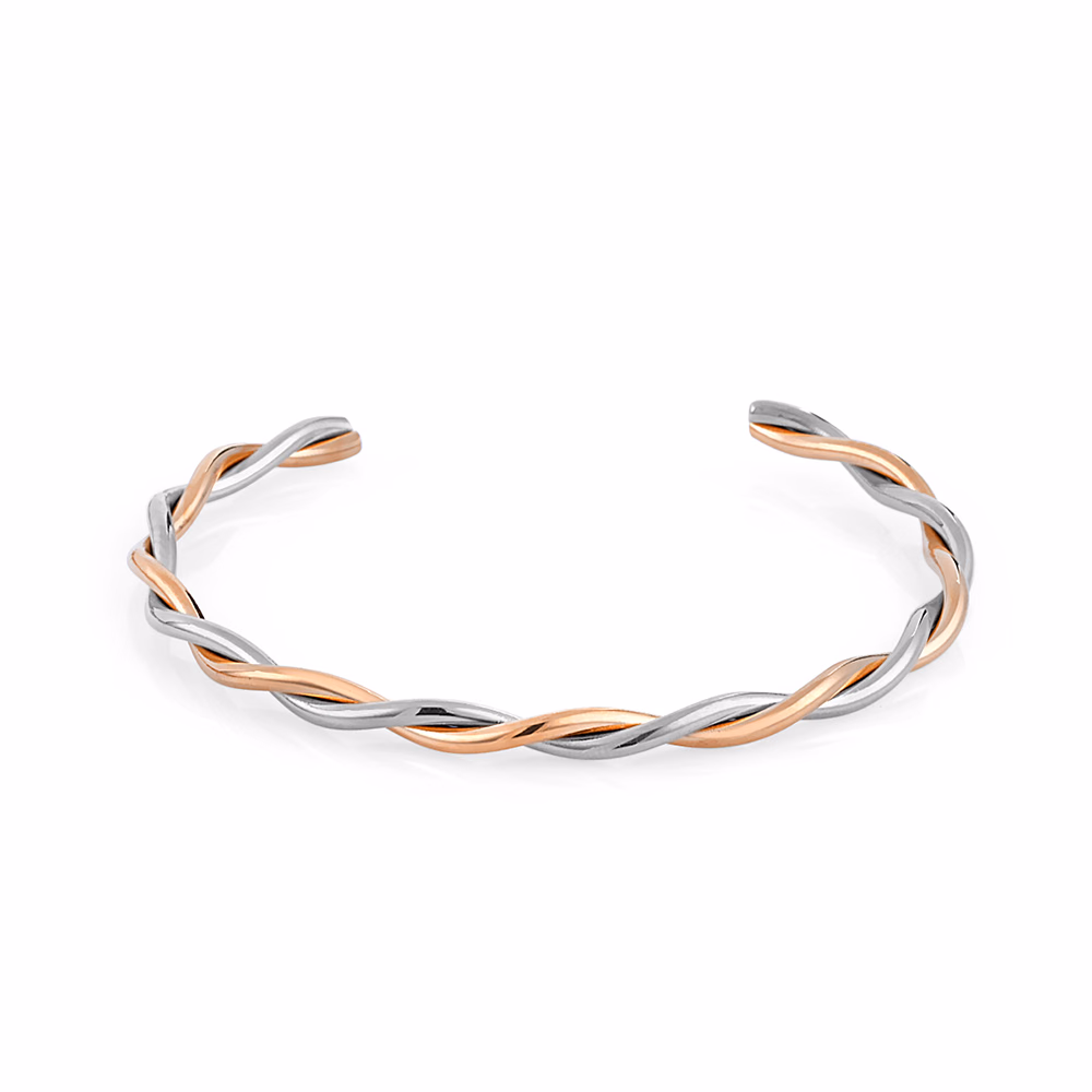 Bratara din Inox Daniel Klein Jewelry Dama DKJ.3.1029-4