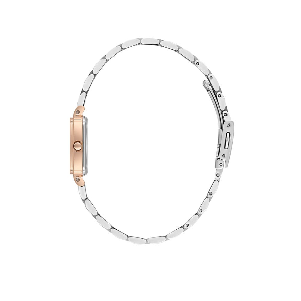 Daniel Klein Premium - Ceas Dama Quartz Argintiu DK.1.13725.6