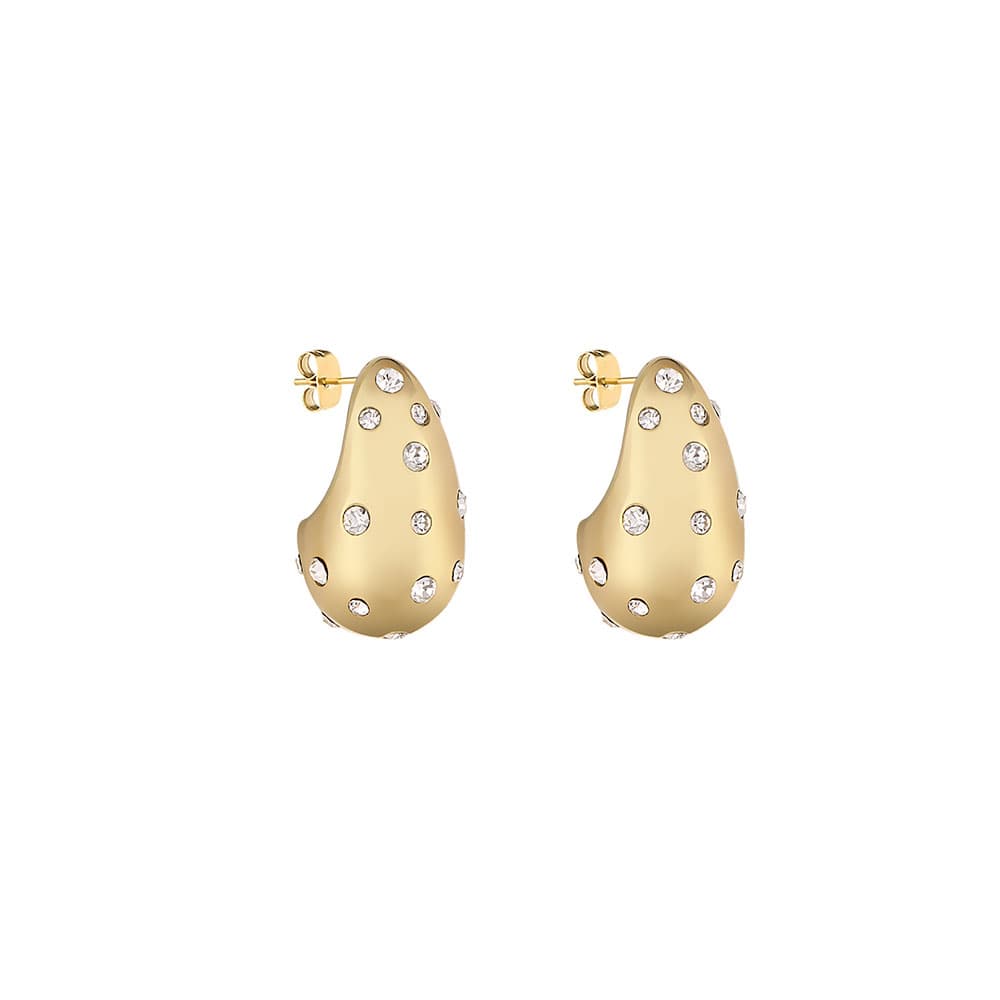 Cercei din Inox Daniel Klein Jewelry Dama DKJ.5.30010-2