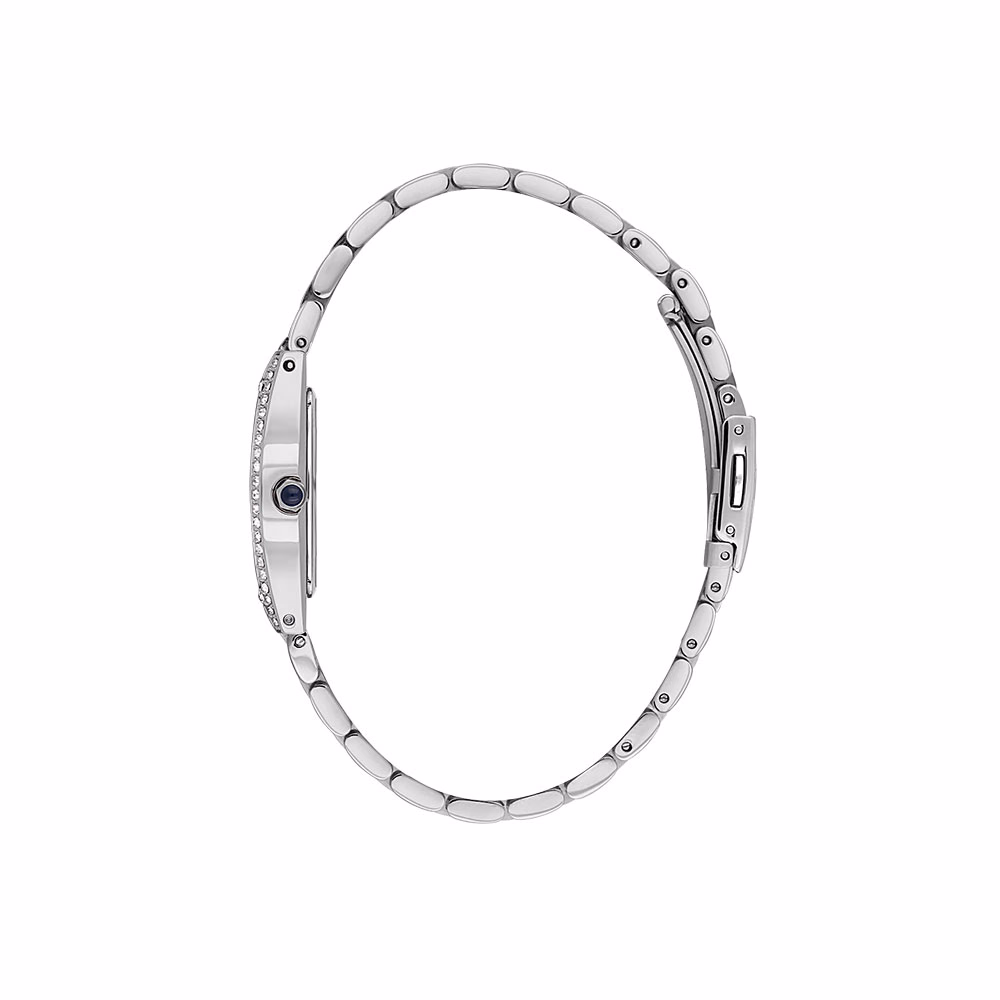 Daniel Klein Premium - Ceas Dama Quartz Argintiu DK.1.14106.1