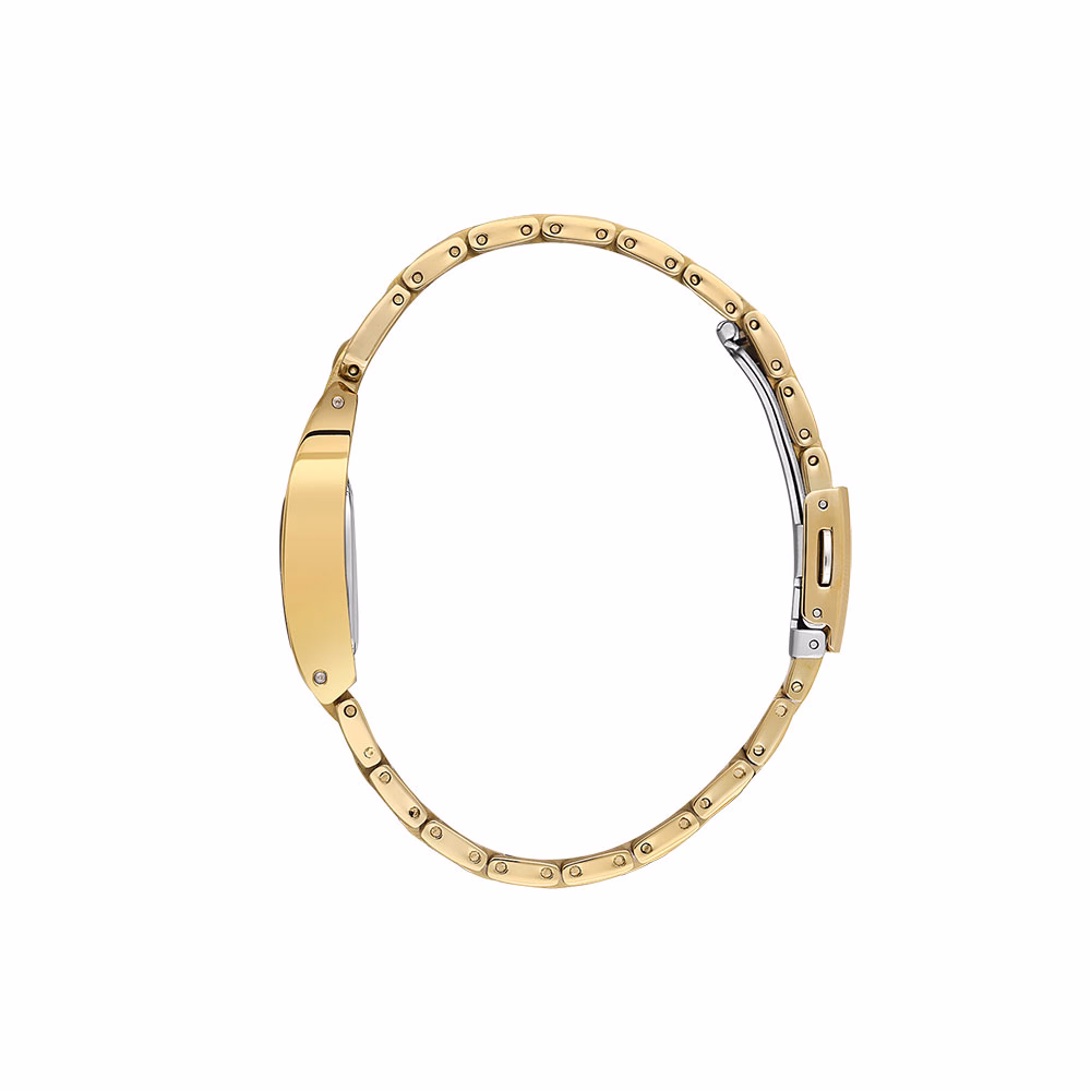 Daniel Klein Premium - Ceas Dama Quartz Auriu DK.1.13957.4