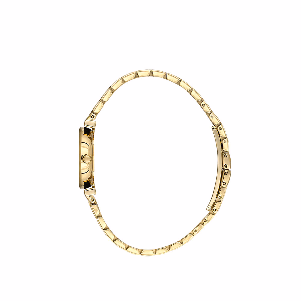 Santa Barbara Polo Unique - Ceas Dama Quartz Auriu SB.4.10019.3