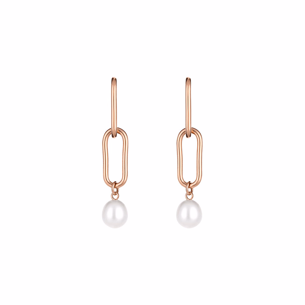 Cercei din Inox Freelook Jewelry Dama FRJ.3.5010-4