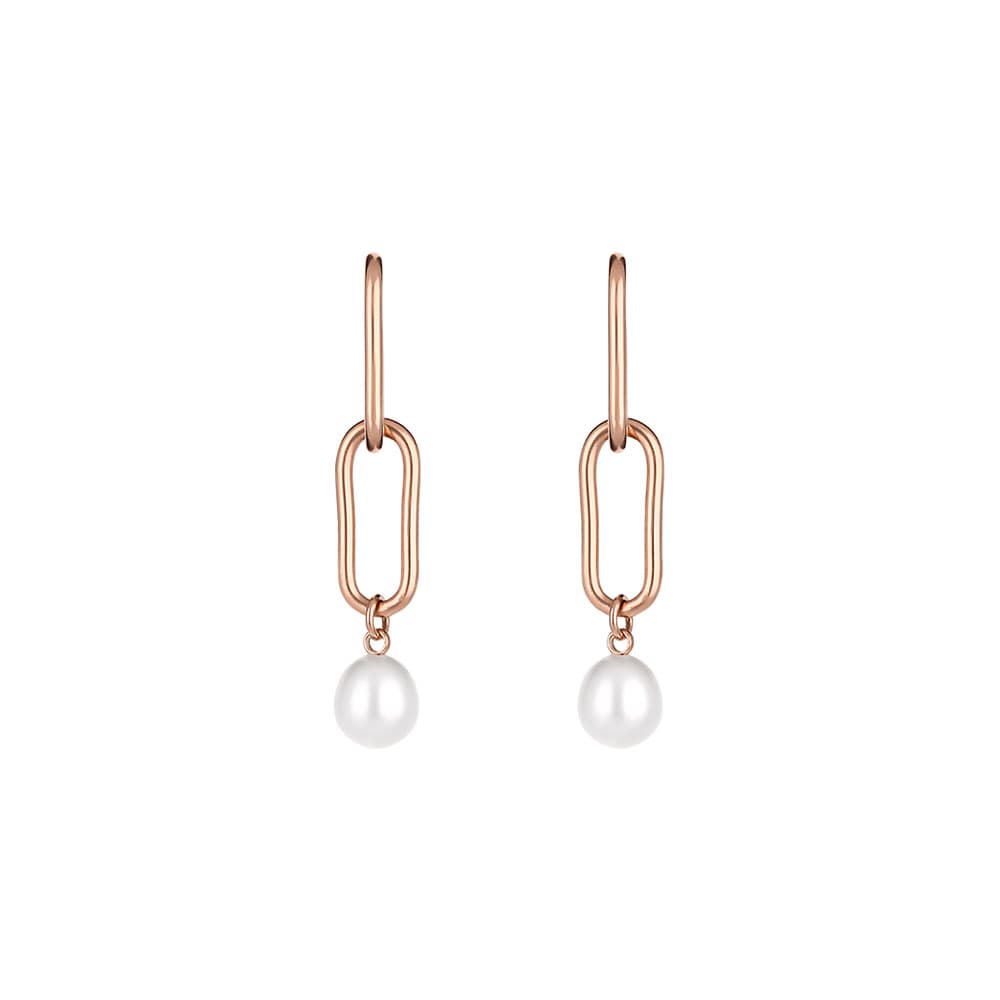 Cercei din Inox Freelook Jewelry Dama FRJ.3.5010-4