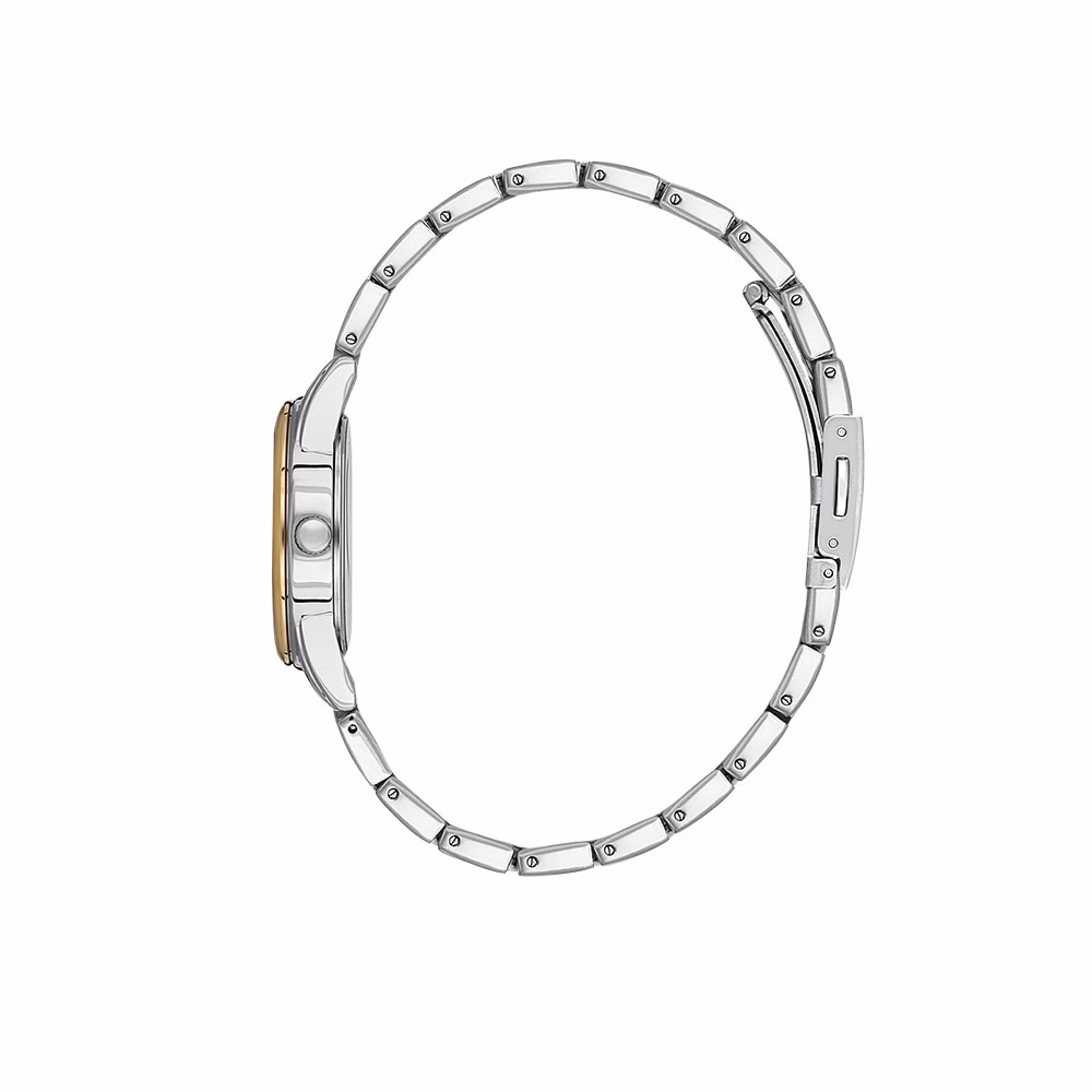 Daniel Klein Arcadia - Ceas Dama Quartz Argintiu DK.1.13846.3