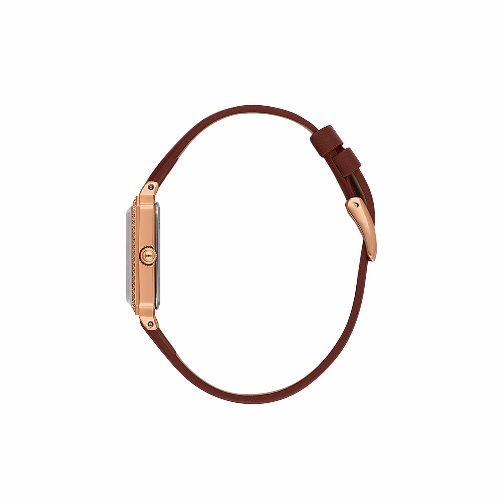 Daniel Klein Premium - Ceas Dama Quartz Visiniu DK.1.13971.6