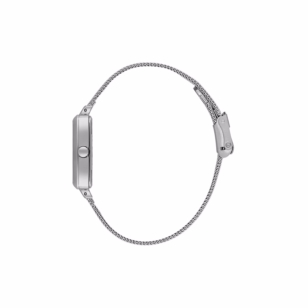 Daniel Klein Premium - Ceas Dama Quartz Argintiu DK.1.14054.1