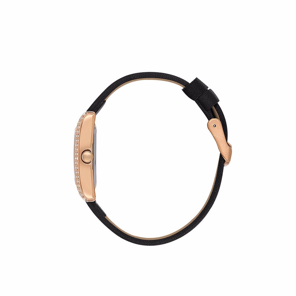 Daniel Klein Premium - Ceas Dama Quartz Negru DK.1.13896.5
