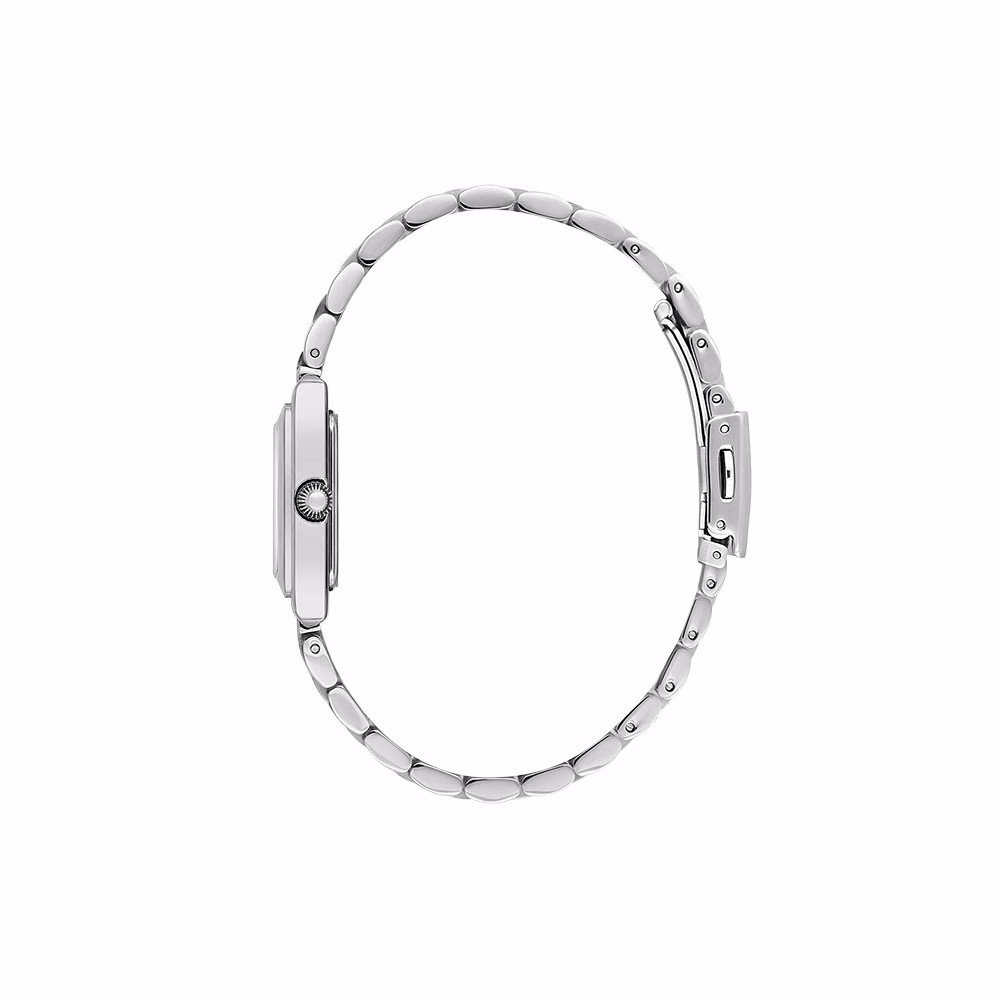 Daniel Klein Premium - Ceas Dama Quartz Argintiu DK.1.14108.1