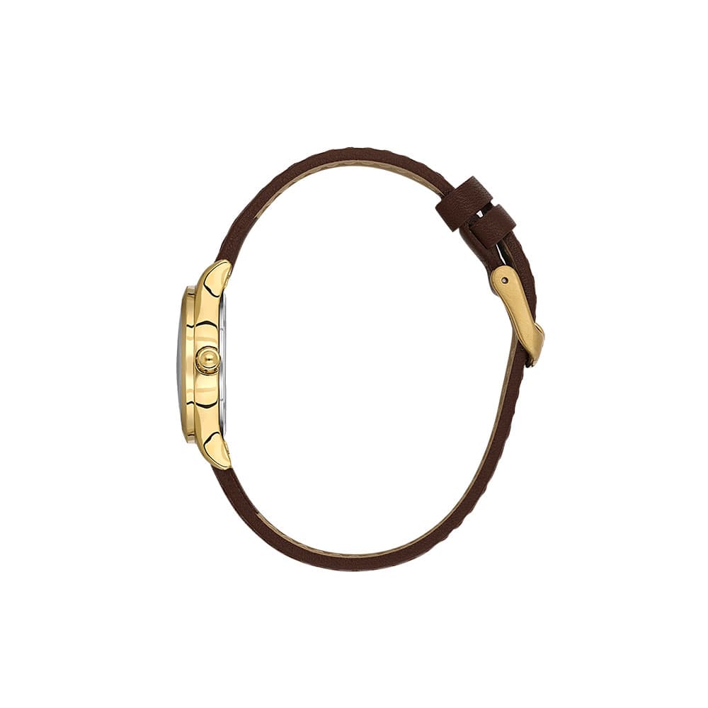 Daniel Klein Premium - Ceas Dama Quartz Cafeniu DK.1.13921.3