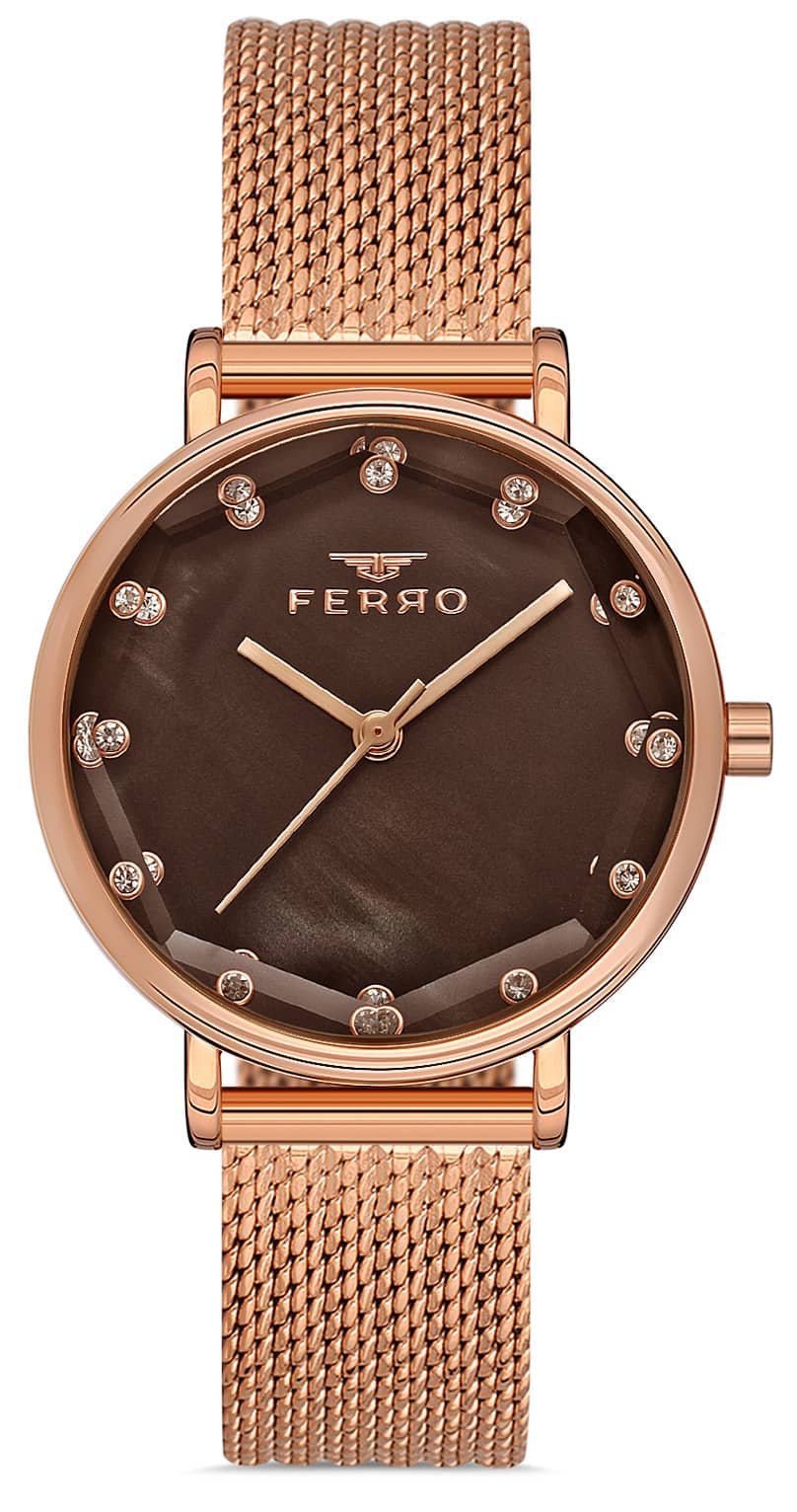 Дамски часовник Ferro - F21221C-C6