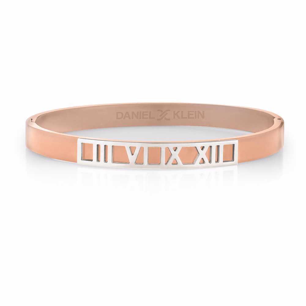 Bratara din Inox Daniel Klein Jewelry Dama DKJ.2.2077-3