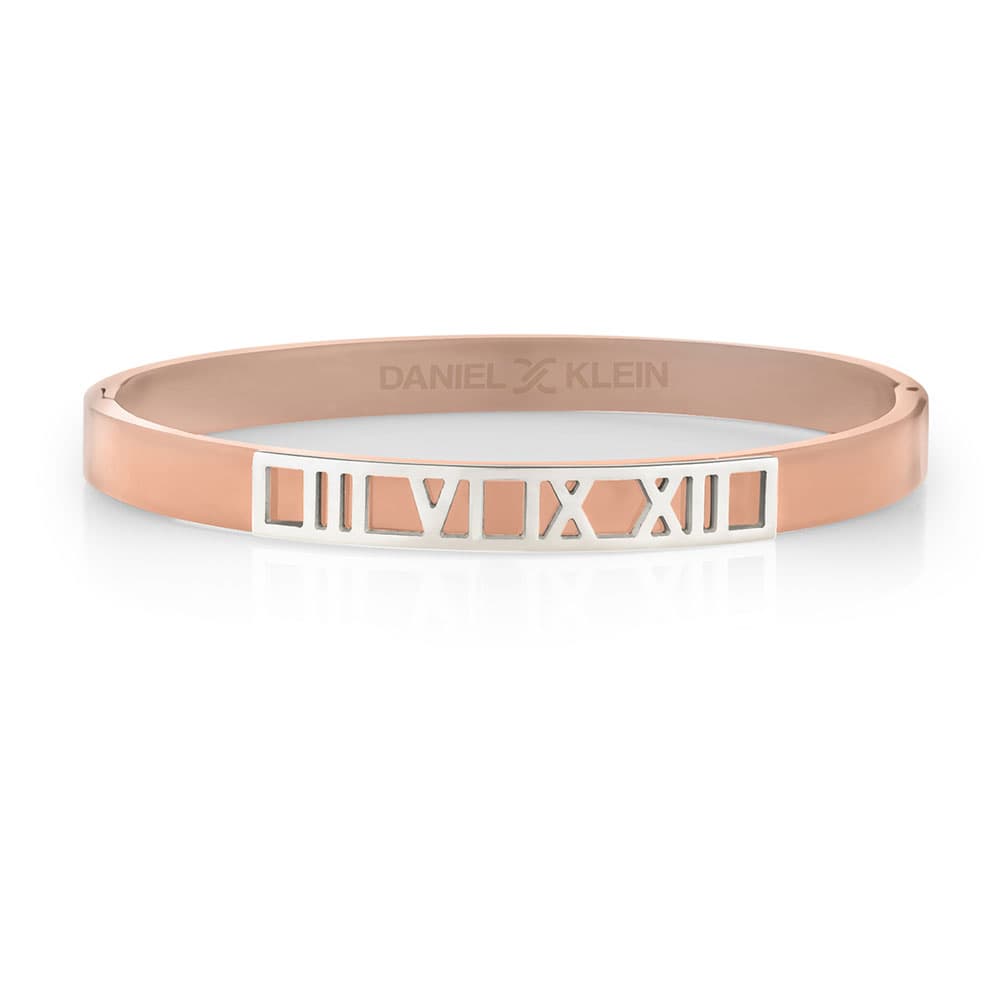 Bratara din Inox Daniel Klein Jewelry Dama DKJ.2.2077-3