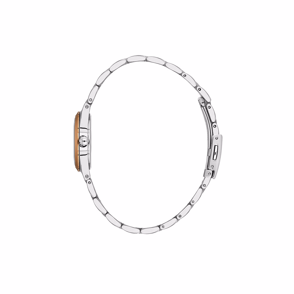 Daniel Klein Premium - Ceas Dama Quartz Auriu Rose DK.1.13940.6