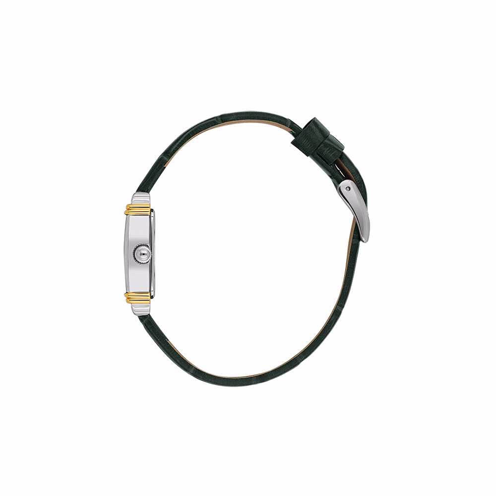 Daniel Klein Premium - Ceas Dama Quartz Verde DK.1.14116.4