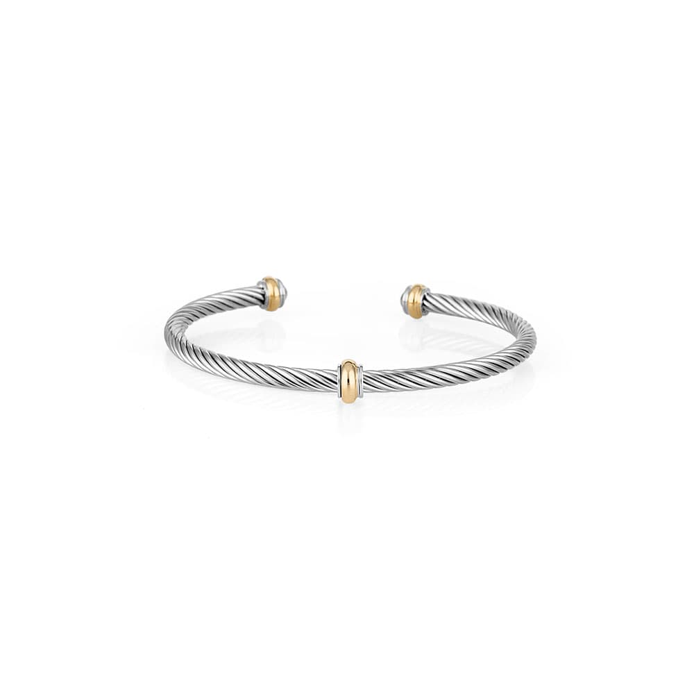Bratara din Inox Daniel Klein Jewelry Dama DKJ.3.1062-4