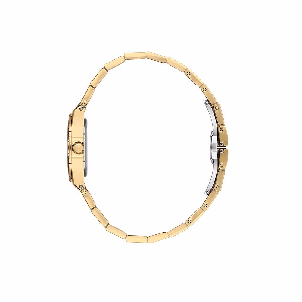 Freelook Lumiere - Ceas Dama Quartz Auriu FL.1.10466.3