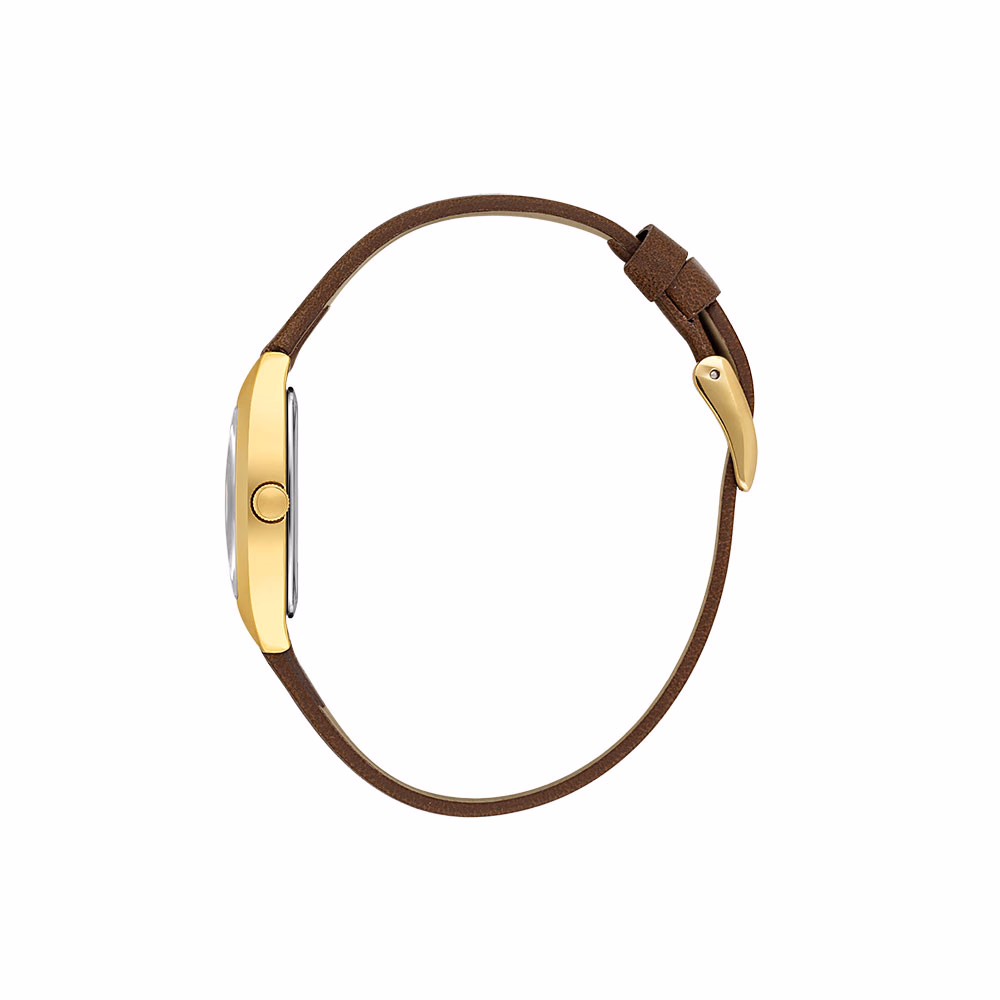 Daniel Klein Premium - Ceas Dama Quartz Cafeniu DK.1.14120.3