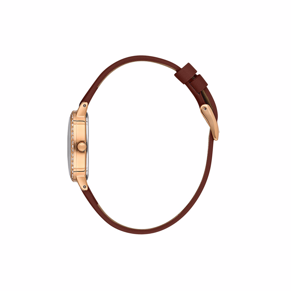 Daniel Klein Premium - Ceas Dama Quartz Visiniu DK.1.13943.6