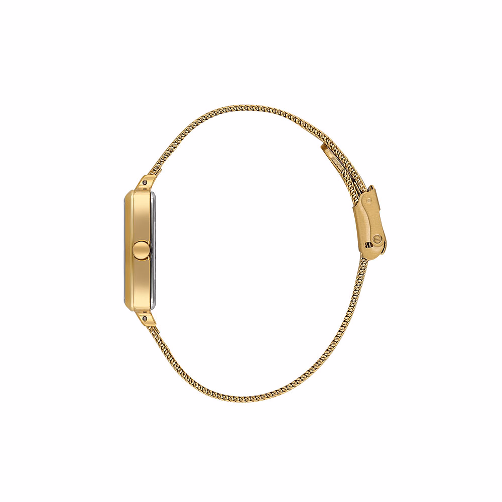 Daniel Klein Premium - Ceas Dama Quartz Auriu DK.1.14054.6