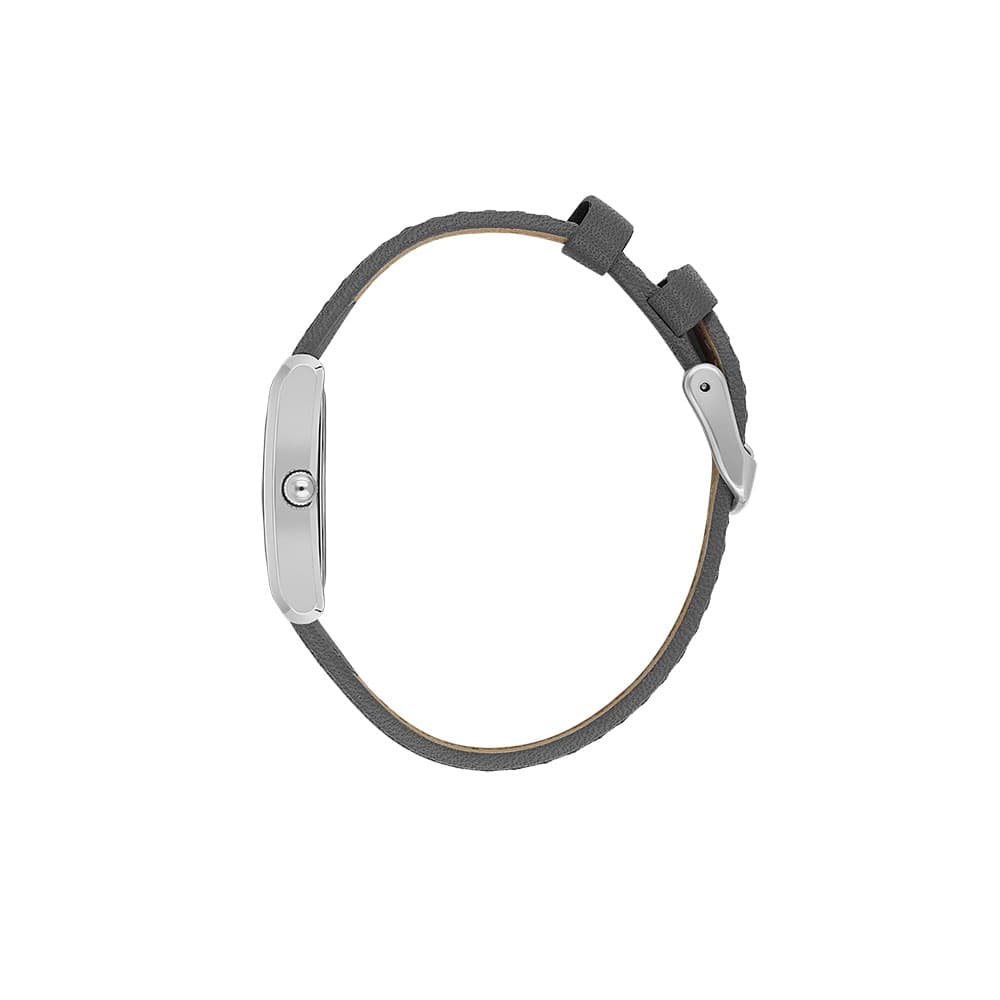 Daniel Klein Premium - Ceas Dama Quartz Gri DK.1.14124.1