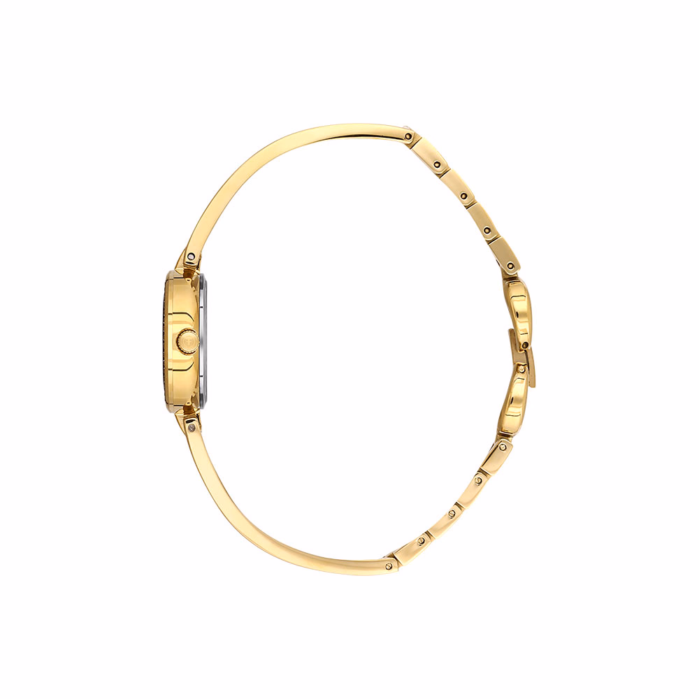 Freelook Lumiere - Ceas Dama Quartz Auriu FL.1.10536-3