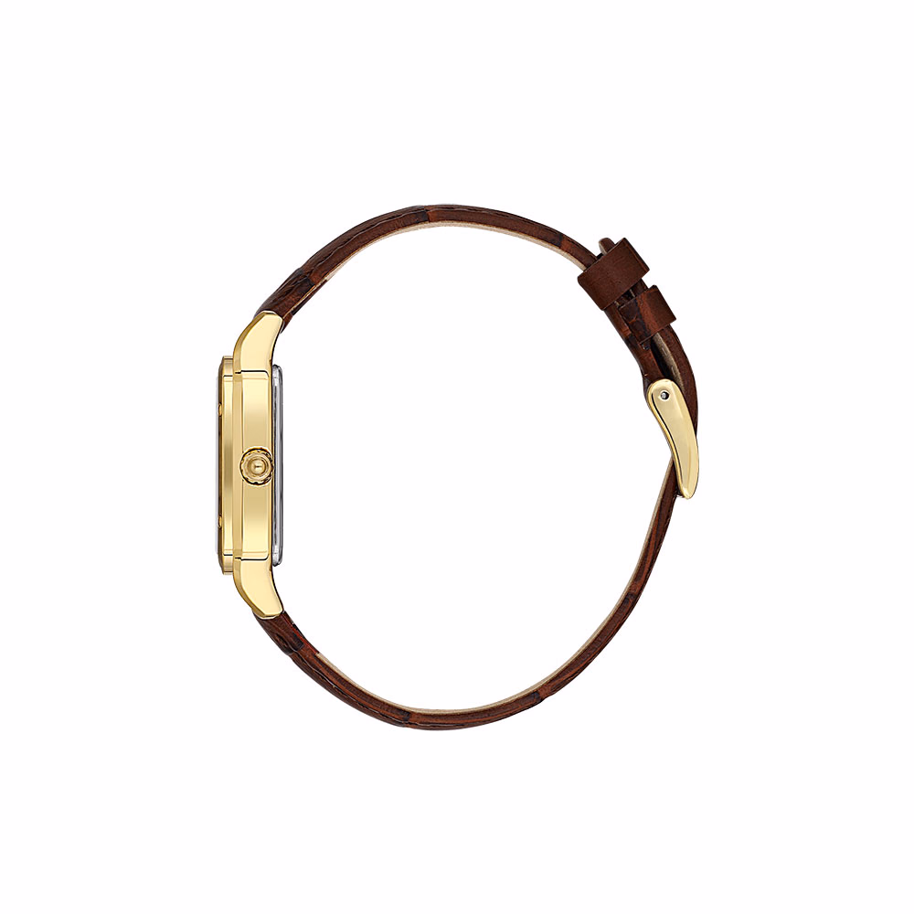 Daniel Klein Premium - Ceas Dama Quartz Cafeniu DK.1.13599.2