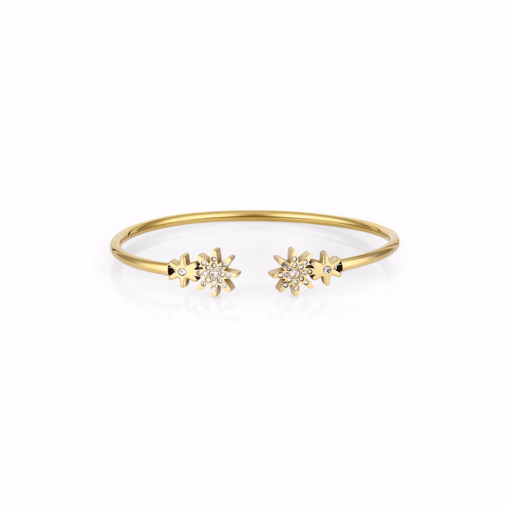 Bratara din Inox Daniel Klein Jewelry Dama DKJ.3.1085-2