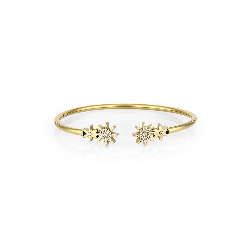 Bratara din Inox Daniel Klein Jewelry Dama DKJ.3.1085-2