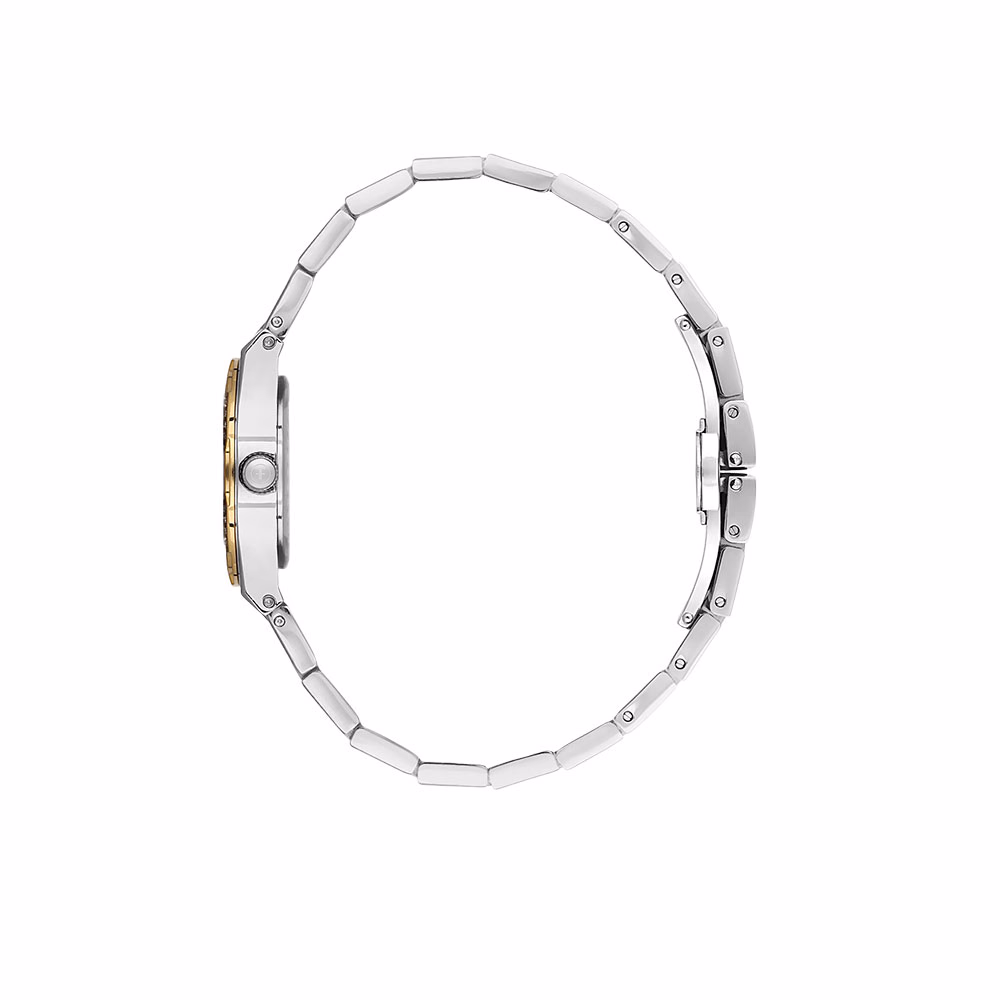 Freelook Lumiere - Ceas Dama Quartz Argintiu FL.1.10466.5