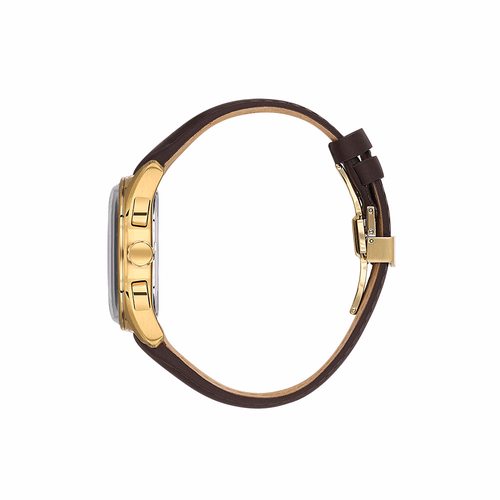 Santa Barbara Polo Legend - Ceas Barbatesc Quartz Cafeniu SB.1.10635.4