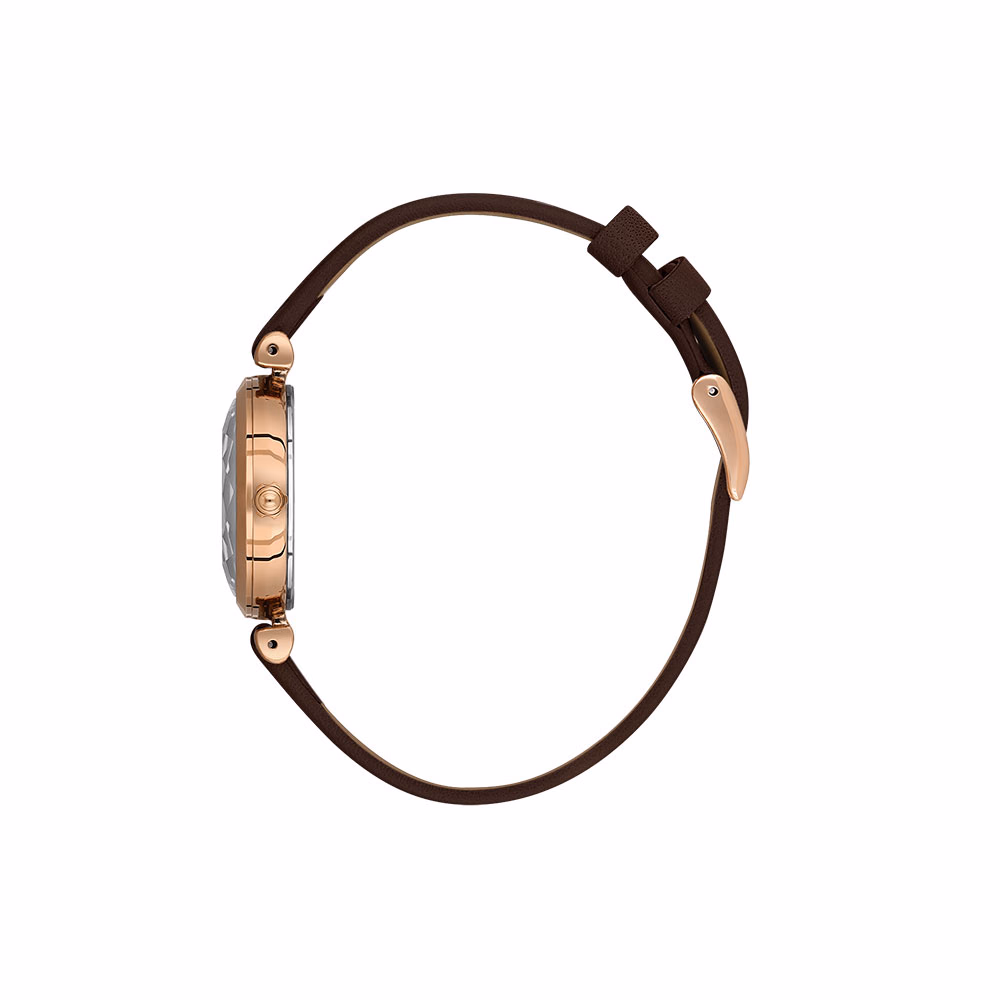 Daniel Klein Premium - Ceas Dama Quartz Cafeniu DK.1.13919.5