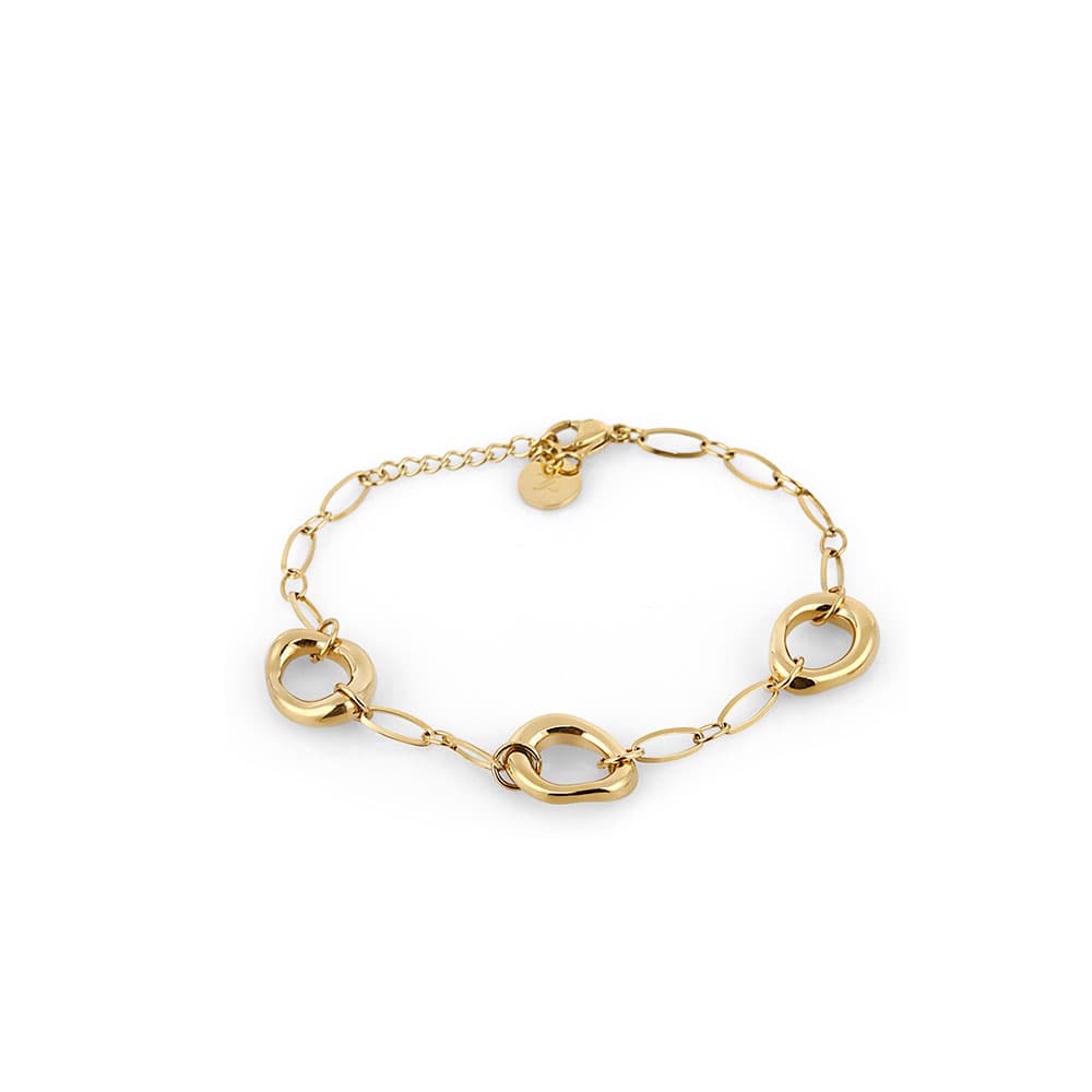 Bratara din Inox Daniel Klein Jewelry Dama DKJ.3.1022-4