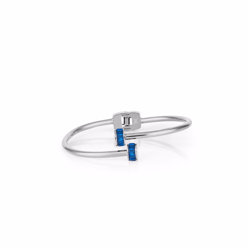 Bratara din Inox Daniel Klein Jewelry Dama DKJ.3.1099-4