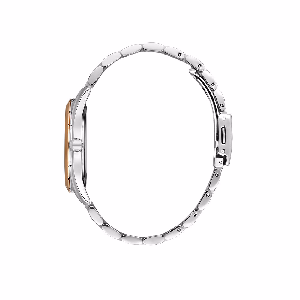 Daniel Klein Premium - Ceas Dama Quartz Argintiu DK.1.13340.6