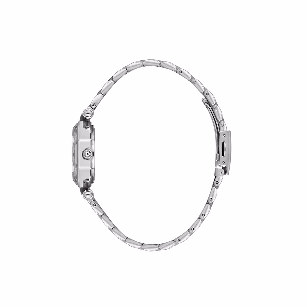 Daniel Klein Premium - Ceas Dama Quartz Argintiu DK.6.14131.1