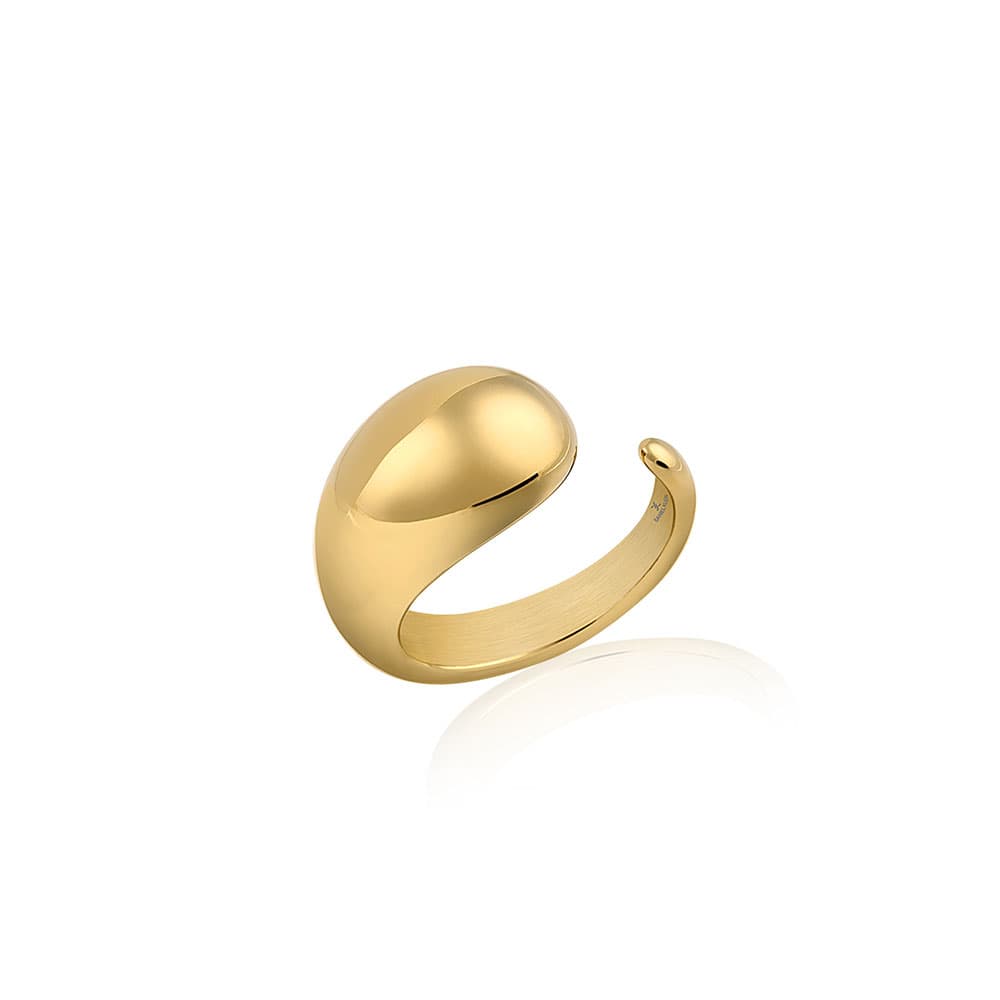 Inel din Inox Daniel Klein Jewelry Dama DKJ.5.40013.L-2