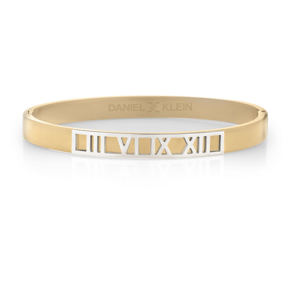 Bratara din Inox Daniel Klein Jewelry Dama DKJ.2.2077-2