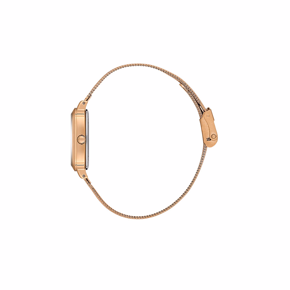Daniel Klein Premium - Ceas Dama Quartz Auriu Rose DK.1.14125.6
