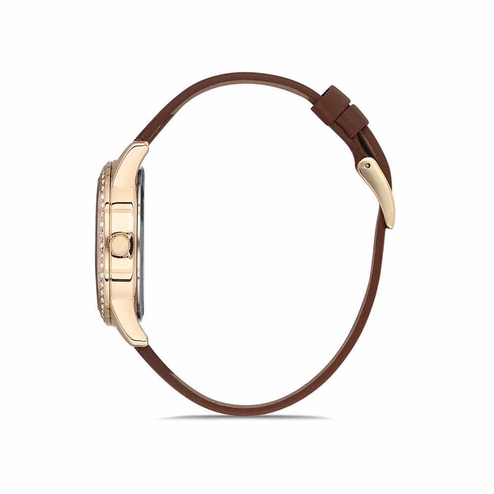 Daniel Klein Premium - Ceas Dama Quartz Maro DK.1.12696.3