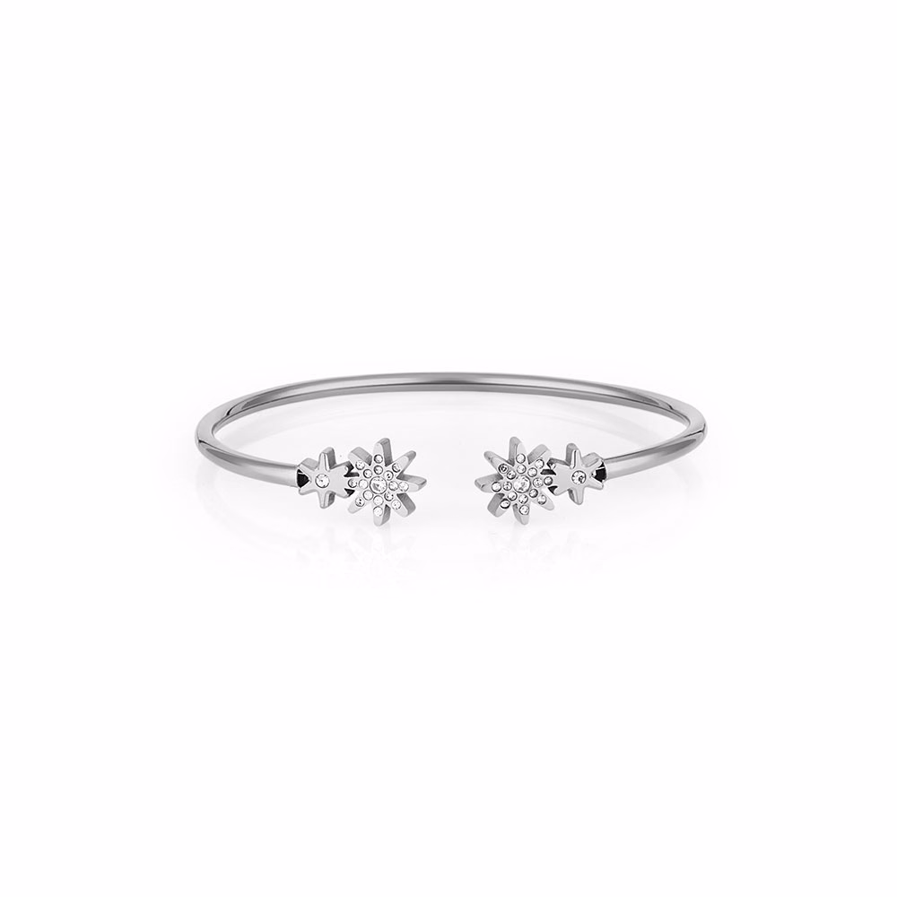 Bratara din Inox Daniel Klein Jewelry Dama DKJ.3.1085-1