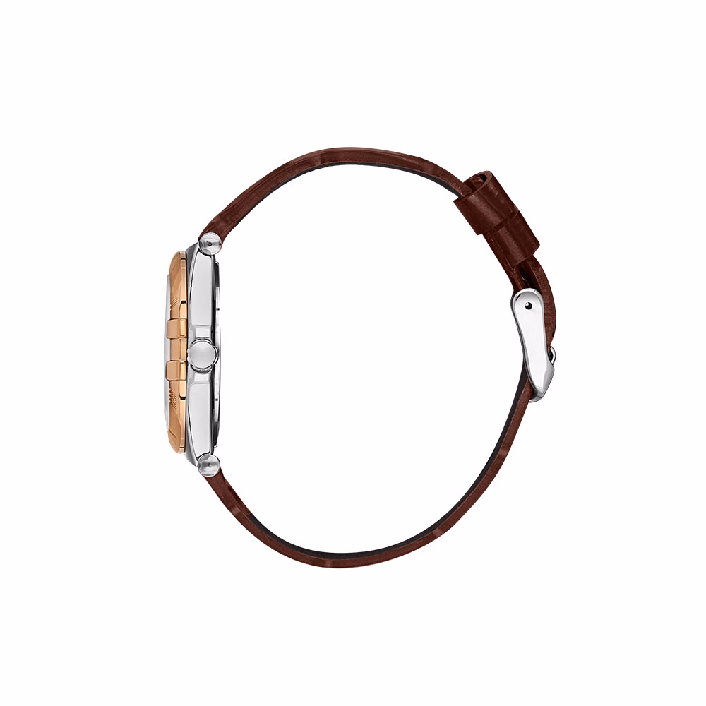 Santa Barbara Polo Luxury - Ceas Dama Quartz Cafeniu SB.1.10528.4