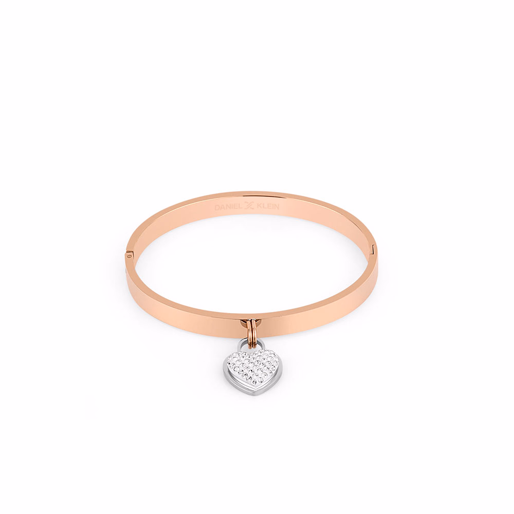 Bratara din Inox Daniel Klein Jewelry Dama DKJ.3.1016-4