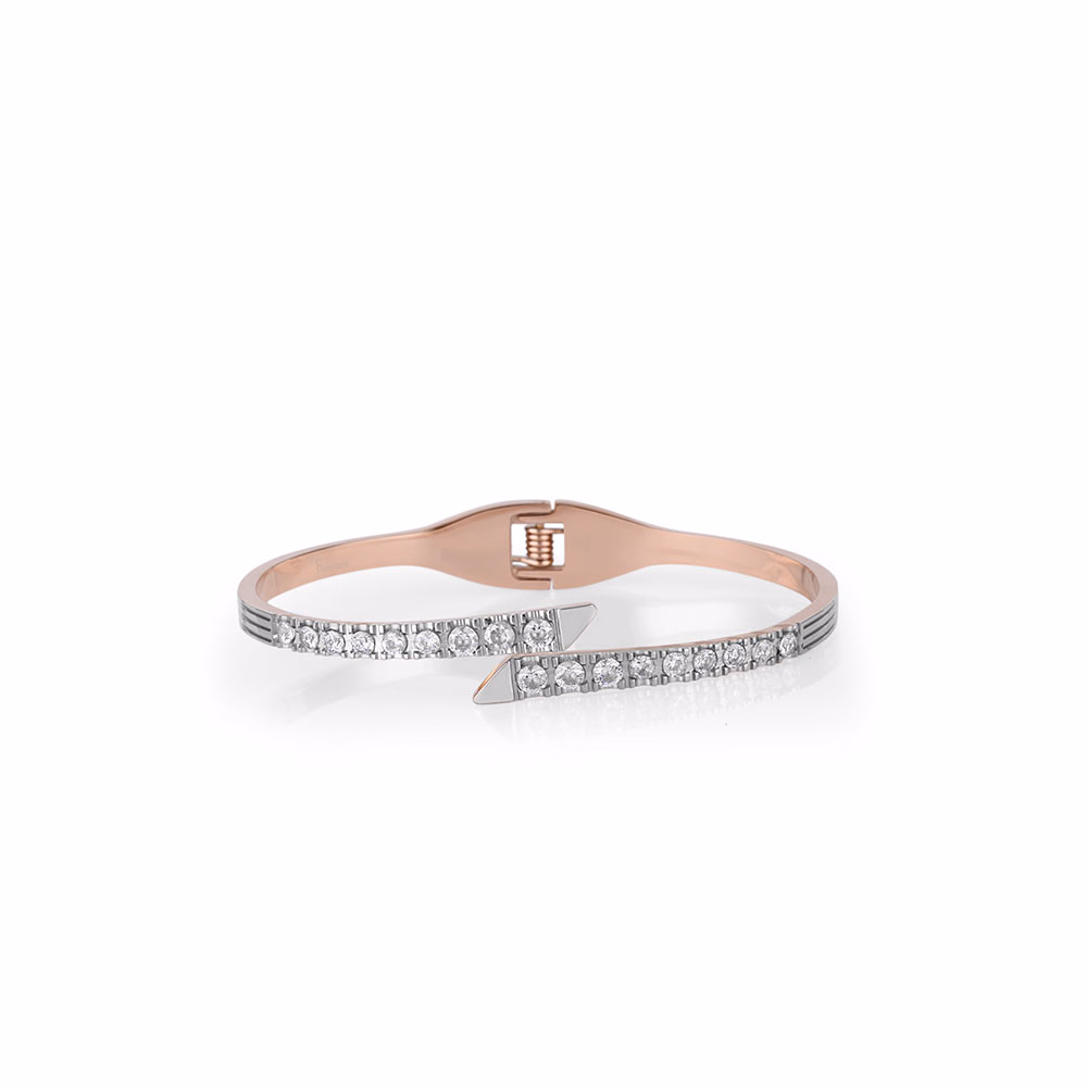 Bratara din Inox Freelook Jewelry Dama FRJ.3.3030-2