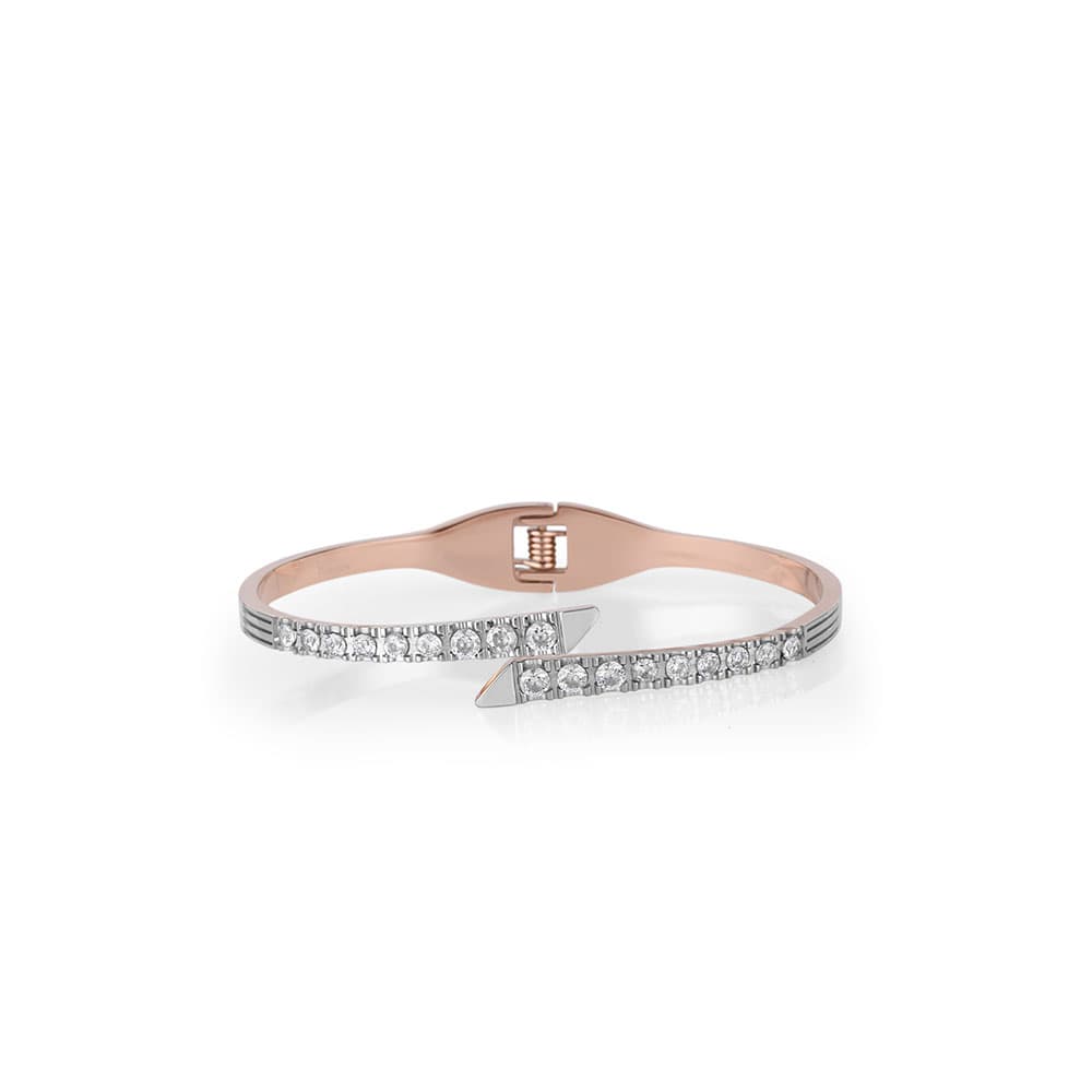 Bratara din Inox Freelook Jewelry Dama FRJ.3.3030-2