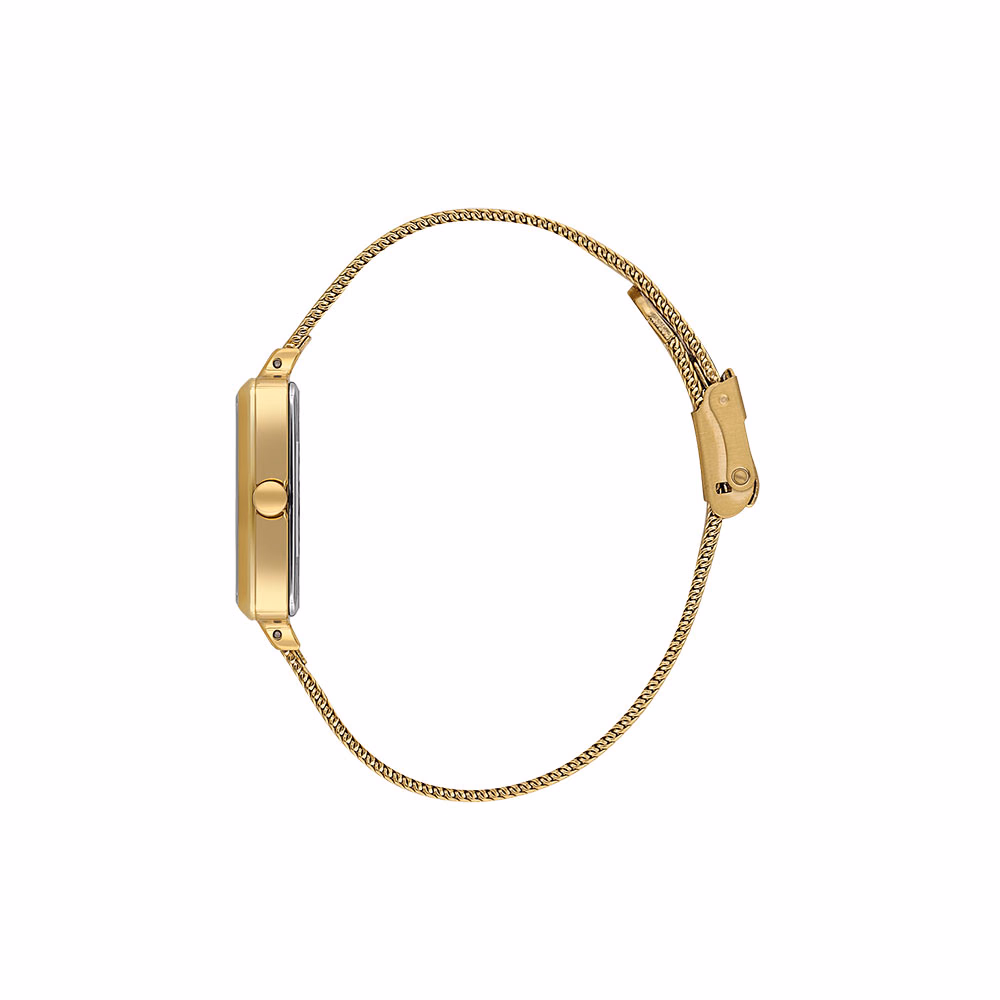 Daniel Klein Premium - Ceas Dama Quartz Auriu DK.1.14054.5