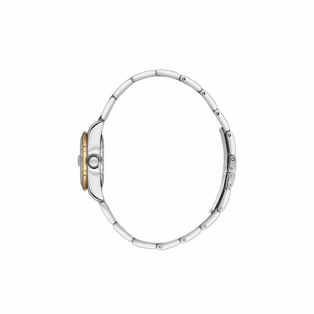 Santa Barbara Polo Unique - Ceas Dama Quartz Auriu SB.4.10035.5