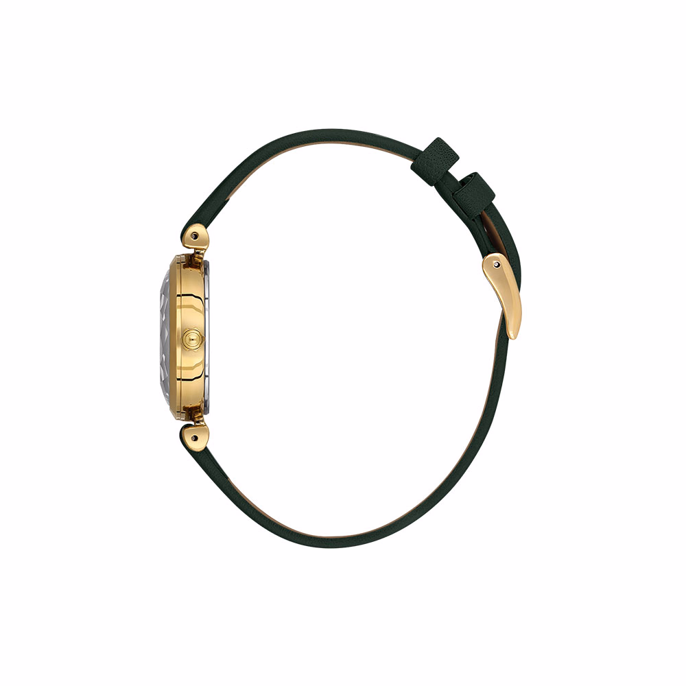 Daniel Klein Premium - Ceas Dama Quartz Verde DK.1.13919.3